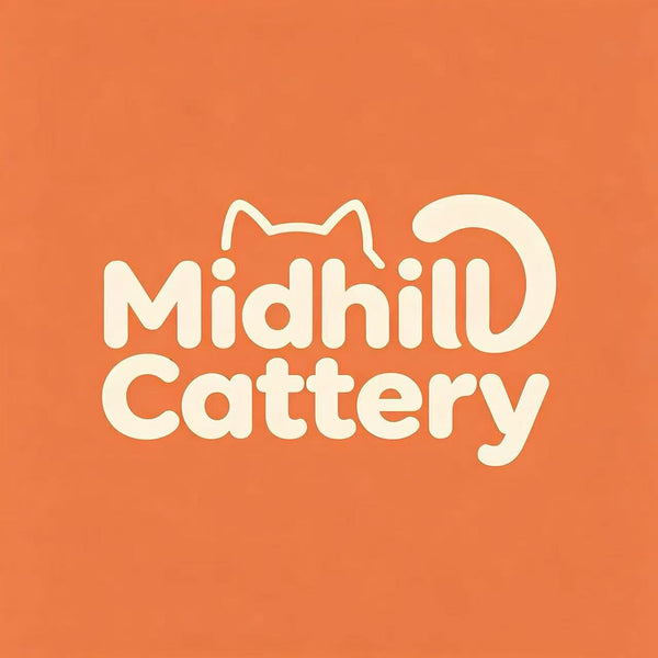 My Store